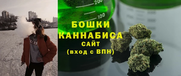 мдпв Богородск