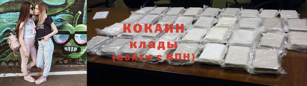 дмт Бородино