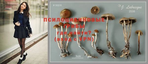 мяу мяу мука Бугульма