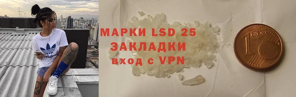 дмт Бородино