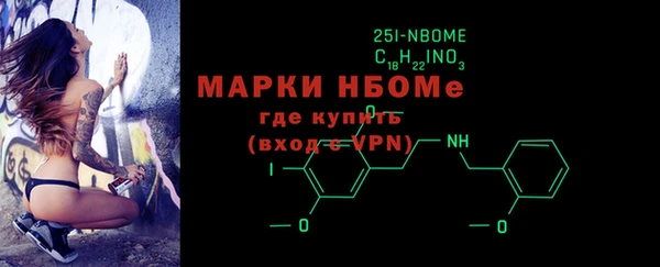 дмт Бородино