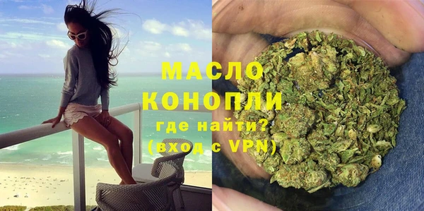 мдпв Богородск